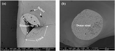 Fracture Behavior of Mullite Reticulated Porous Ceramics for Porous Media Combustion